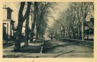 Sydney Street, Cornwall, Ont. postcard