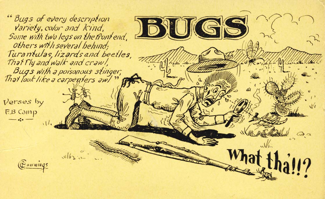 Bugs. What tha'!!?, postcard 1916