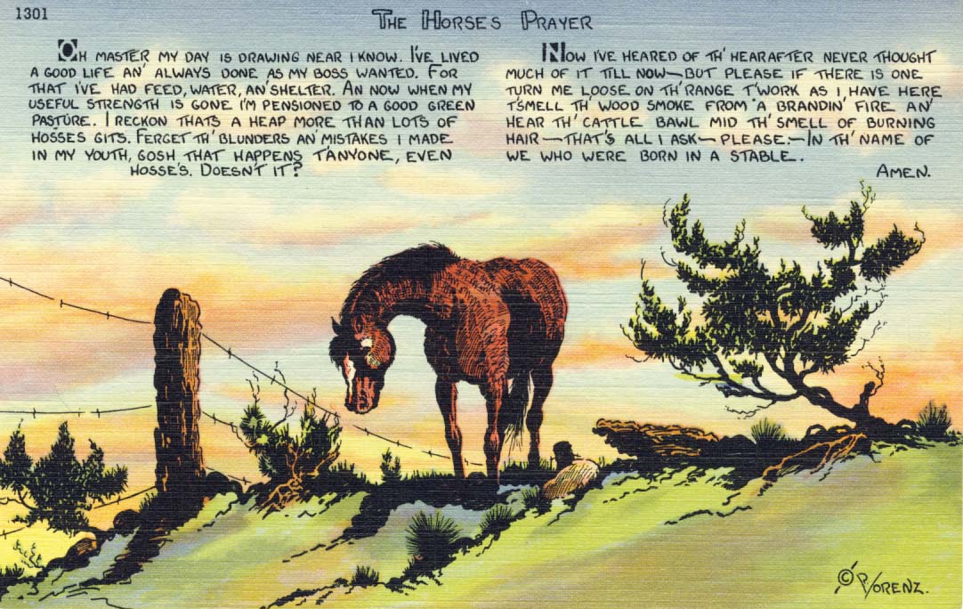 Horse's prayer postcard 1941