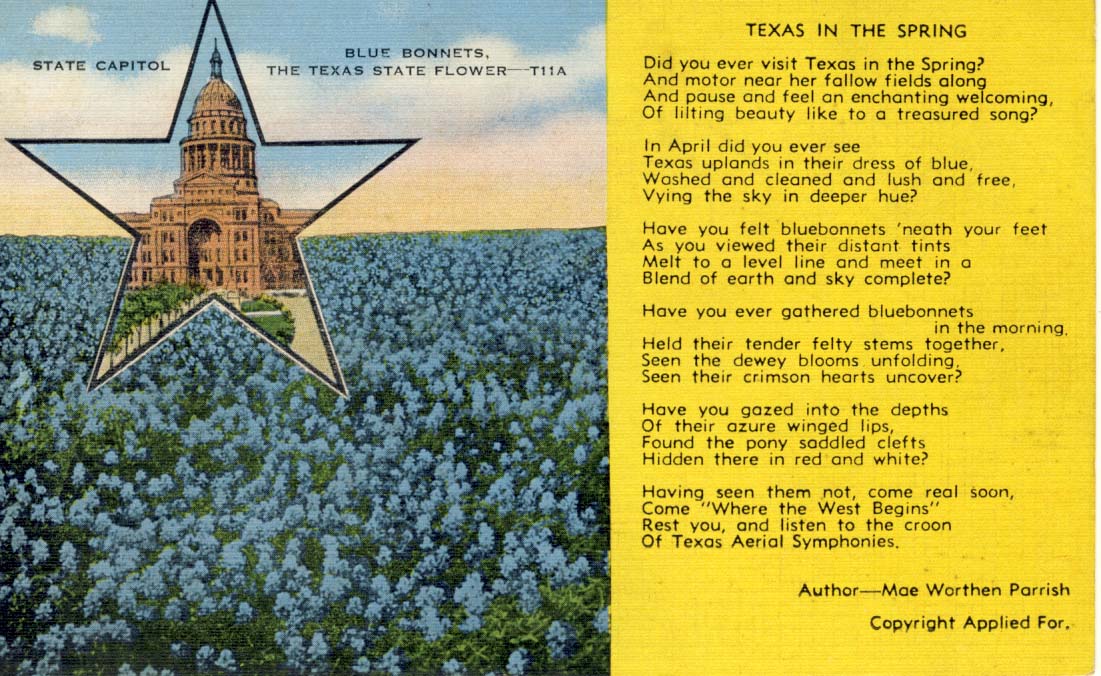 Texas in the spring postcard 