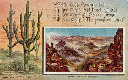 Arizona state card.
