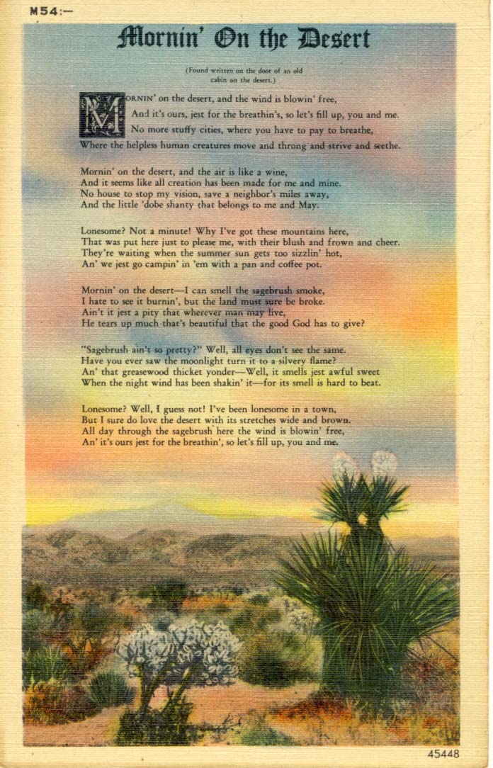 Mornin' on the desert postcard 1951