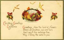 Christmas greetings from California postcard 1924