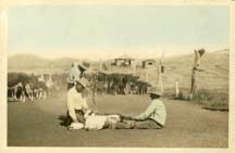 3 men branding postcard, undated.